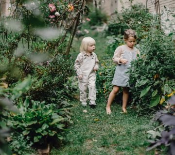 Transformeer Jouw Tuin tot een Betoverende Buitenruimte